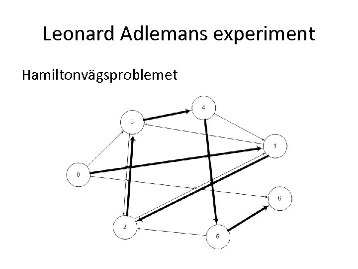 Leonard Adlemans experiment Hamiltonvägsproblemet 