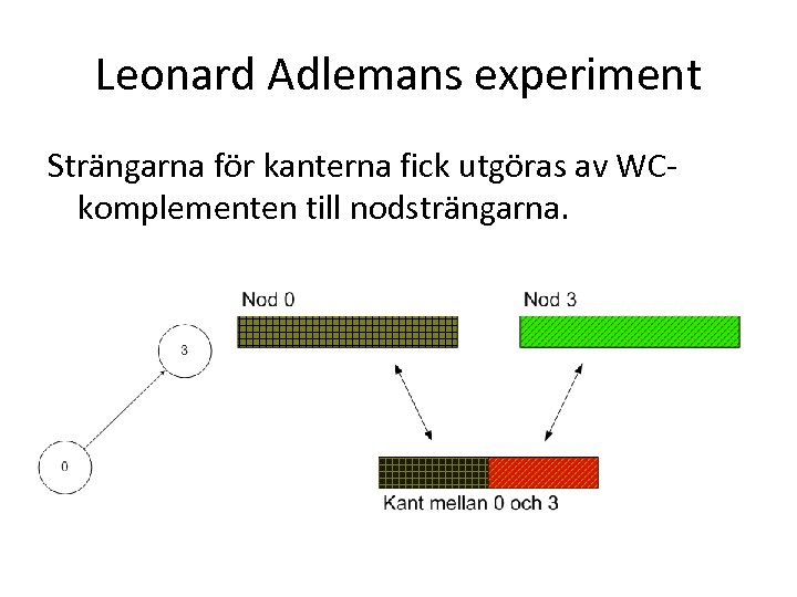 Leonard Adlemans experiment Strängarna för kanterna fick utgöras av WCkomplementen till nodsträngarna. 