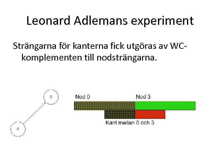 Leonard Adlemans experiment Strängarna för kanterna fick utgöras av WCkomplementen till nodsträngarna. 