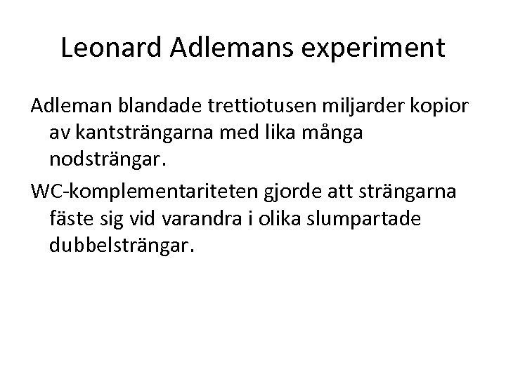 Leonard Adlemans experiment Adleman blandade trettiotusen miljarder kopior av kantsträngarna med lika många nodsträngar.