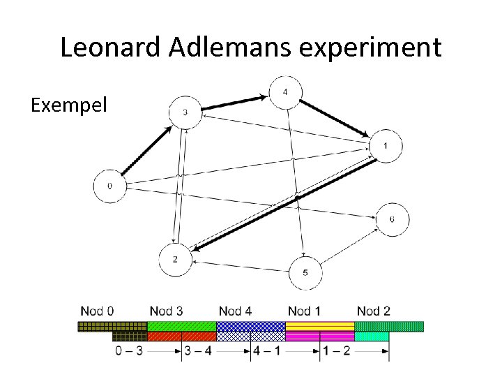 Leonard Adlemans experiment Exempel 