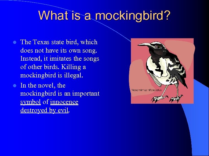 What is a mockingbird? The Texas state bird, which does not have its own
