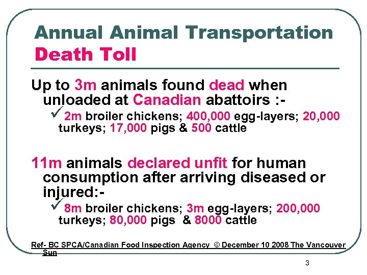 Annual Animal Transportation Death Toll Up to 3 m animals found dead when unloaded