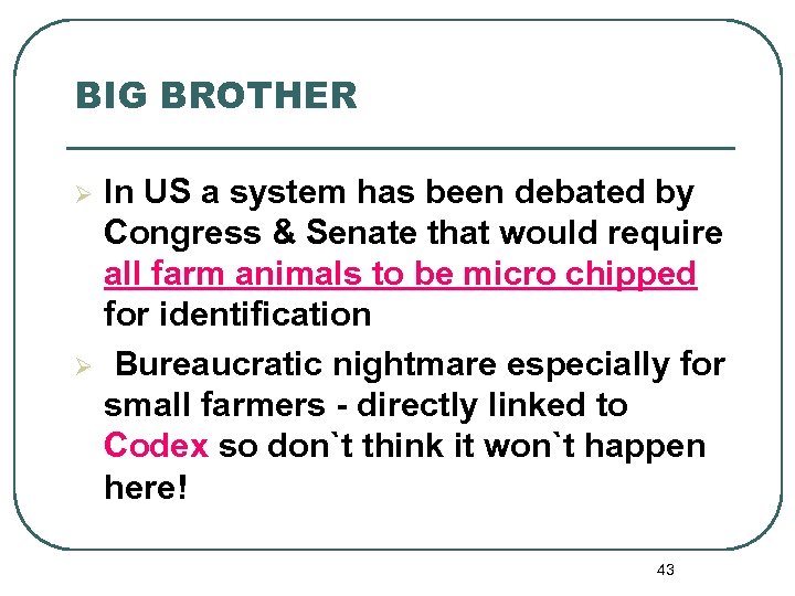 BIG BROTHER Ø Ø In US a system has been debated by Congress &