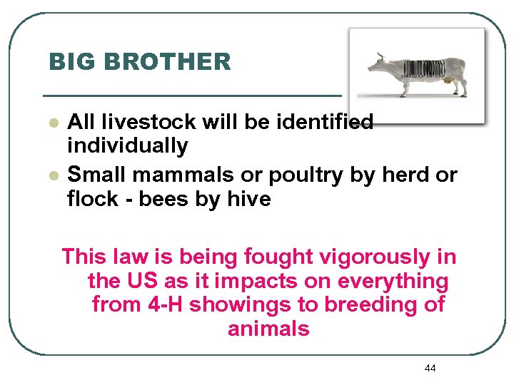 BIG BROTHER l l All livestock will be identified individually Small mammals or poultry