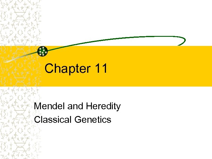 Chapter 11 Mendel and Heredity Classical Genetics 