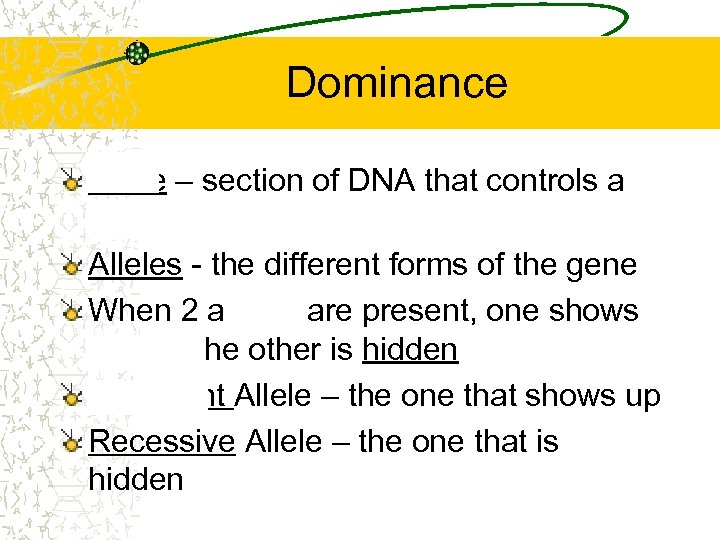 Dominance Gene – section of DNA that controls a trait Alleles - the different