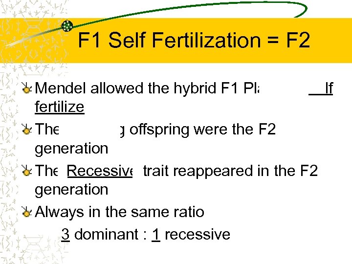 F 1 Self Fertilization = F 2 Mendel allowed the hybrid F 1 Plants