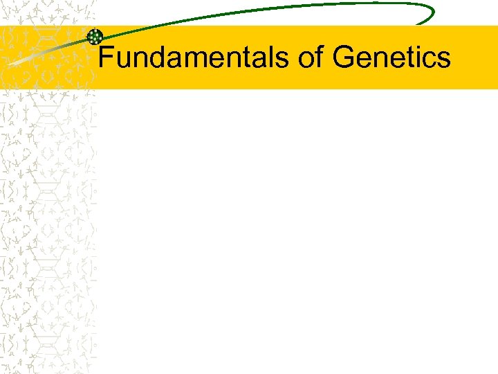 Fundamentals of Genetics 