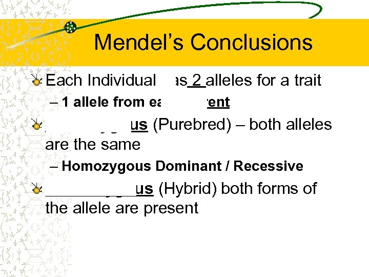 Mendel’s Conclusions Each Individual has 2 alleles for a trait – 1 allele from