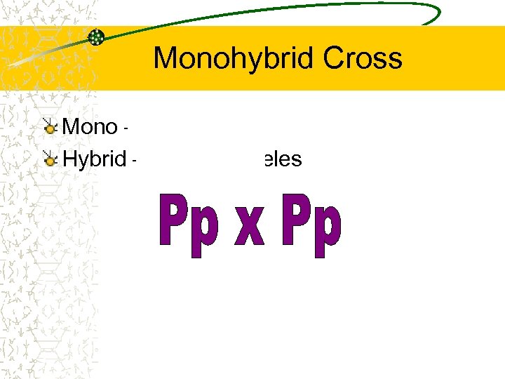 Monohybrid Cross Mono – 1 Hybrid – different alleles 