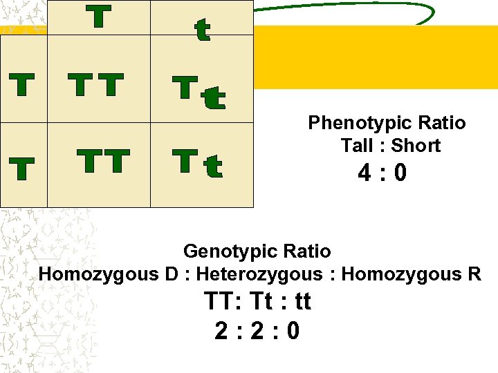 Phenotypic Ratio Tall : Short 4: 0 Genotypic Ratio Homozygous D : Heterozygous :