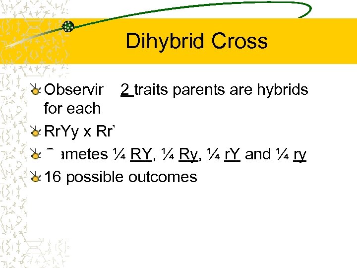 Dihybrid Cross Observing 2 traits parents are hybrids for each Rr. Yy x Rr.