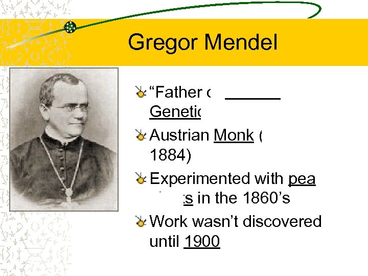 Gregor Mendel “Father of Modern Genetics” Austrian Monk (18221884) Experimented with pea plants in