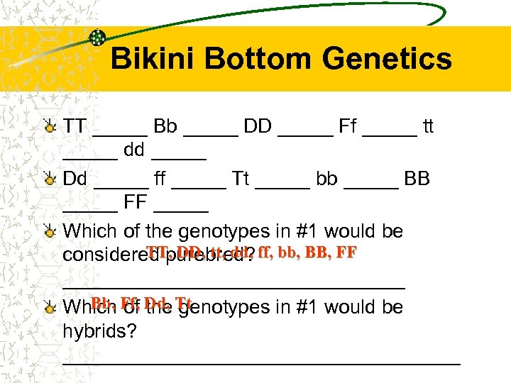 Bikini Bottom Genetics TT _____ Bb _____ DD _____ Ff _____ tt _____ dd