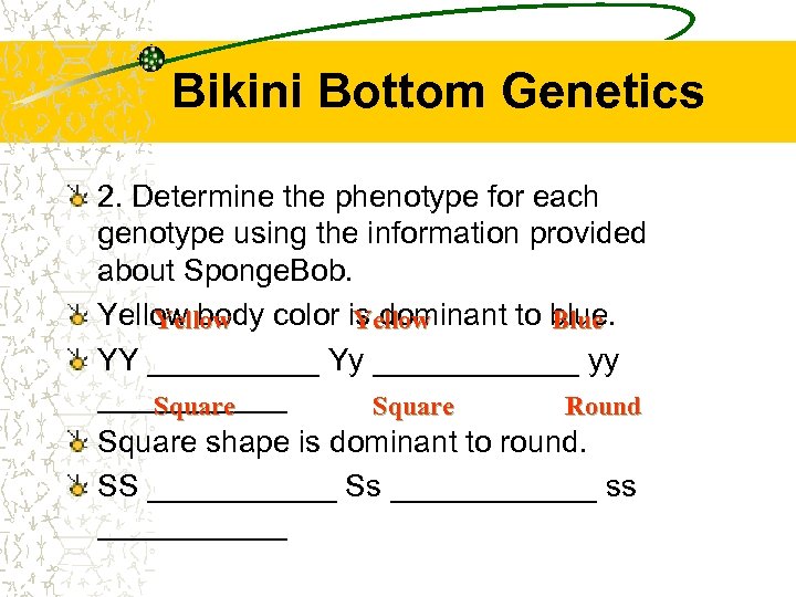 Bikini Bottom Genetics 2. Determine the phenotype for each genotype using the information provided