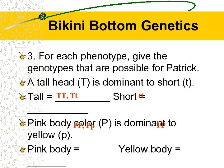 Bikini Bottom Genetics 3. For each phenotype, give the genotypes that are possible for