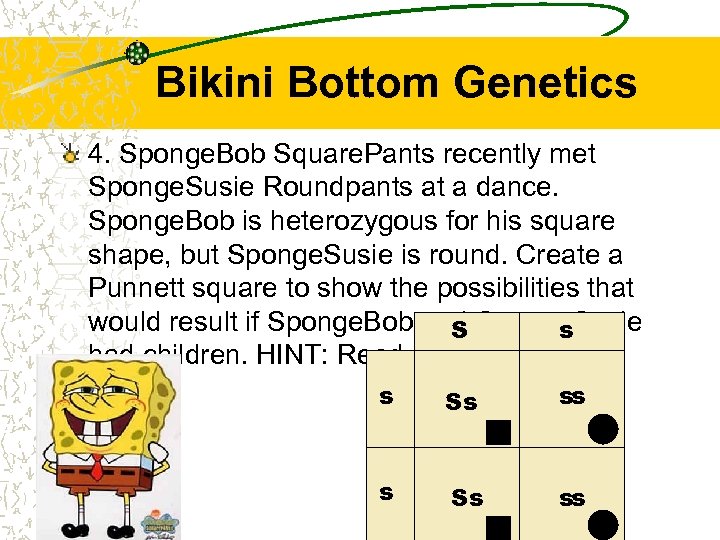 Bikini Bottom Genetics 4. Sponge. Bob Square. Pants recently met Sponge. Susie Roundpants at