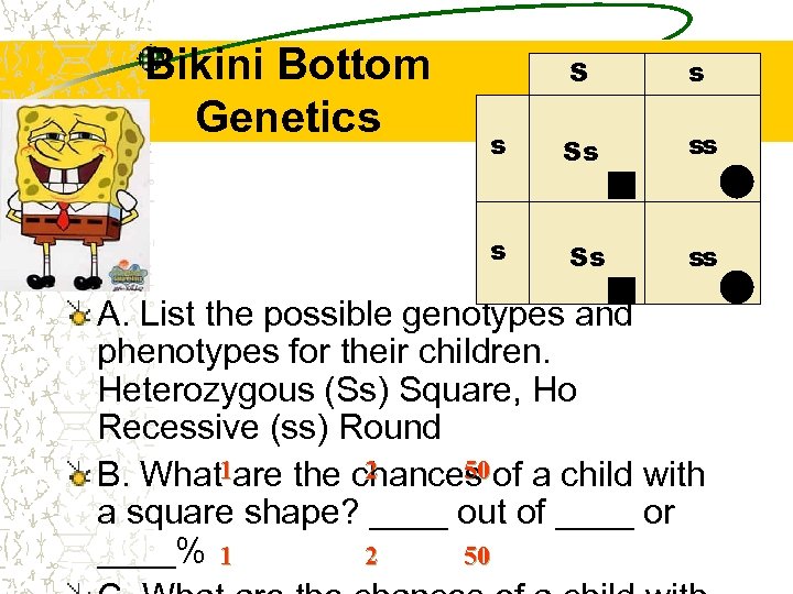 Bikini Bottom Genetics S s s Ss ss A. List the possible genotypes and