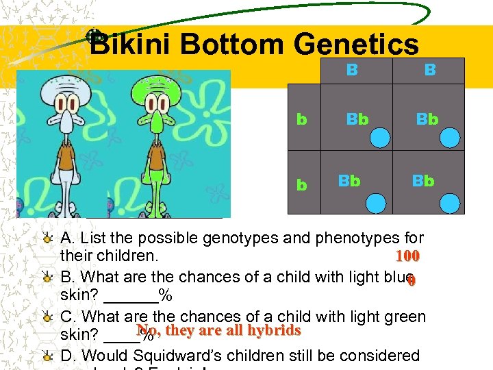 Bikini Bottom Genetics B b b Bb Bb Bb A. List the possible genotypes