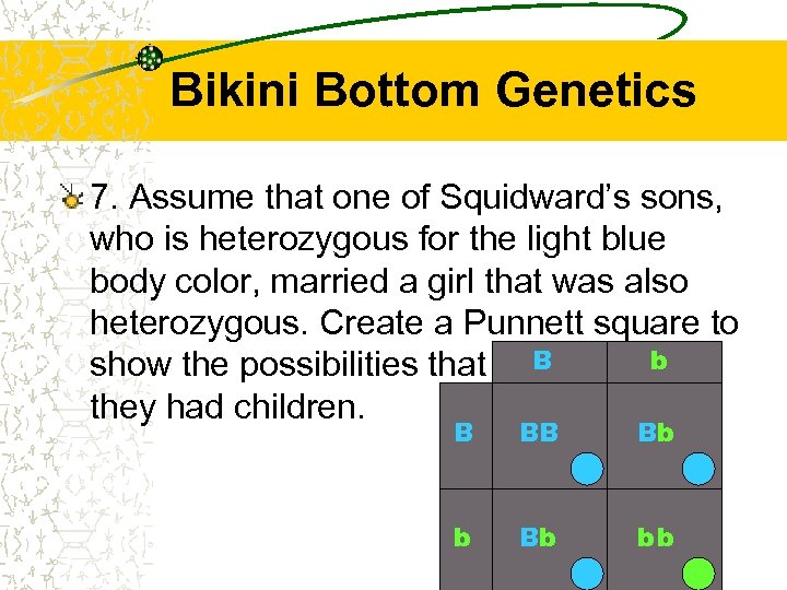 Bikini Bottom Genetics 7. Assume that one of Squidward’s sons, who is heterozygous for