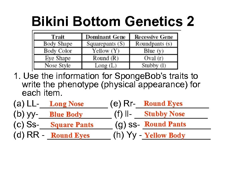 Bikini Bottom Genetics 2 1. Use the information for Sponge. Bob’s traits to write