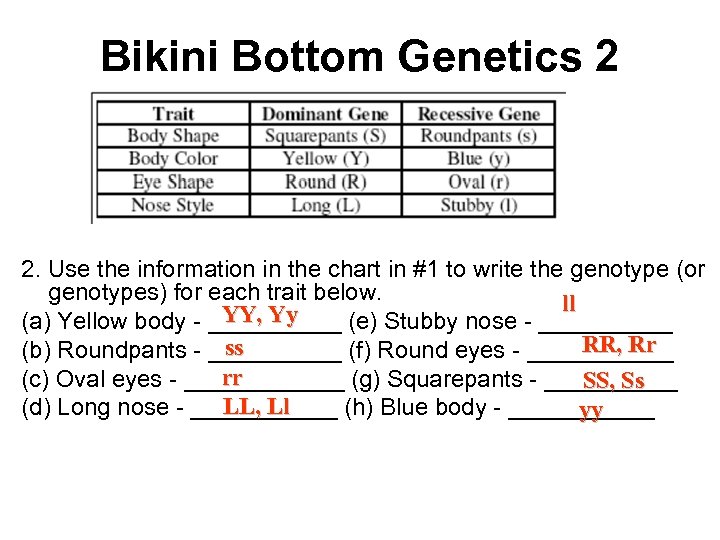 Bikini Bottom Genetics 2 2. Use the information in the chart in #1 to