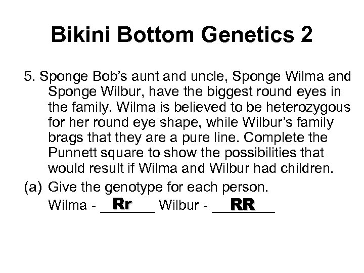 Bikini Bottom Genetics 2 5. Sponge Bob’s aunt and uncle, Sponge Wilma and Sponge