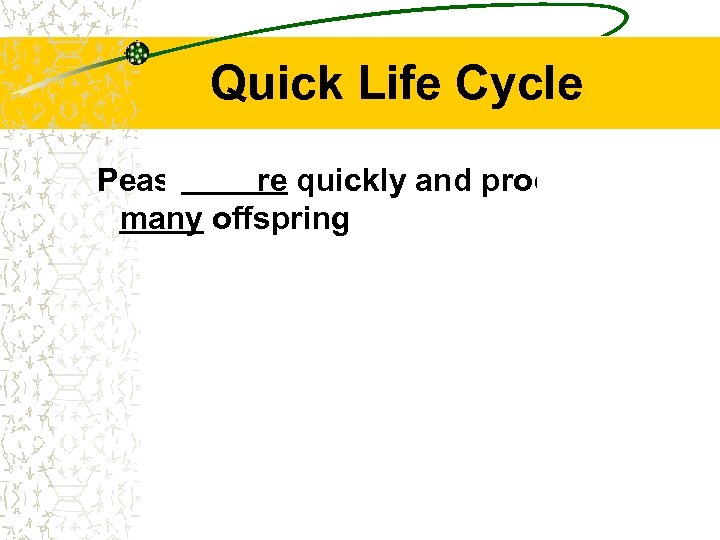 Quick Life Cycle Peas mature quickly and produced many offspring 