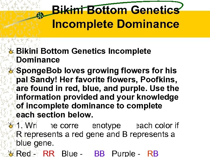 Bikini Bottom Genetics Incomplete Dominance Sponge. Bob loves growing flowers for his pal Sandy!