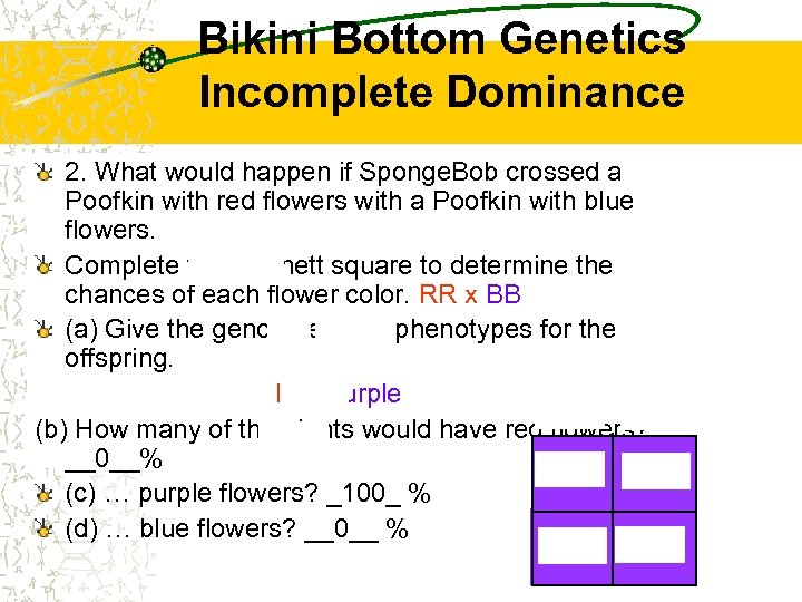 Bikini Bottom Genetics Incomplete Dominance 2. What would happen if Sponge. Bob crossed a