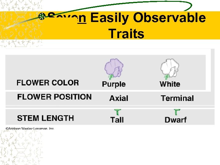 Seven Easily Observable Traits 