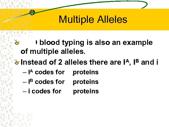 Multiple Alleles ABO blood typing is also an example of multiple alleles. Instead of