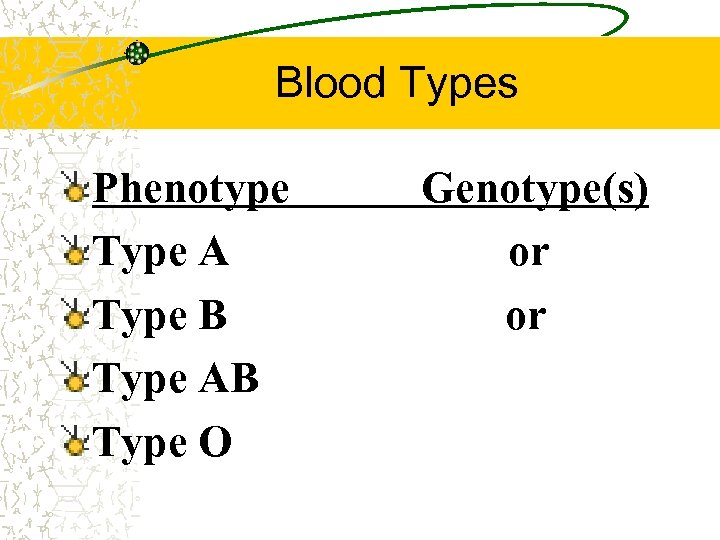 Blood Types Phenotype Type A Type B Type AB Type O Genotype(s) IAIA or