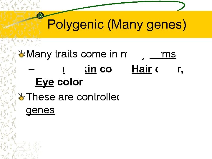 Polygenic (Many genes) Many traits come in many forms – Height, Skin color, Hair