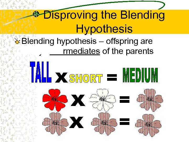 Disproving the Blending Hypothesis Blending hypothesis – offspring are always intermediates of the parents