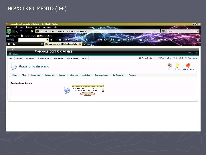NOVO DOCUMENTO (3 -6) 