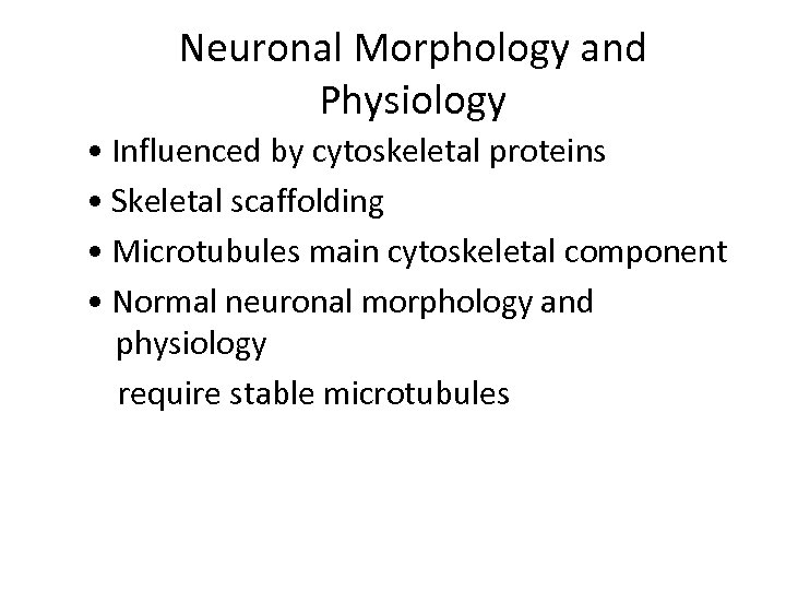 Neuronal Morphology and Physiology • Influenced by cytoskeletal proteins • Skeletal scaffolding • Microtubules