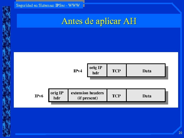 Seguridad en Sistemas: IPSec - WWW Antes de aplicar AH 20 