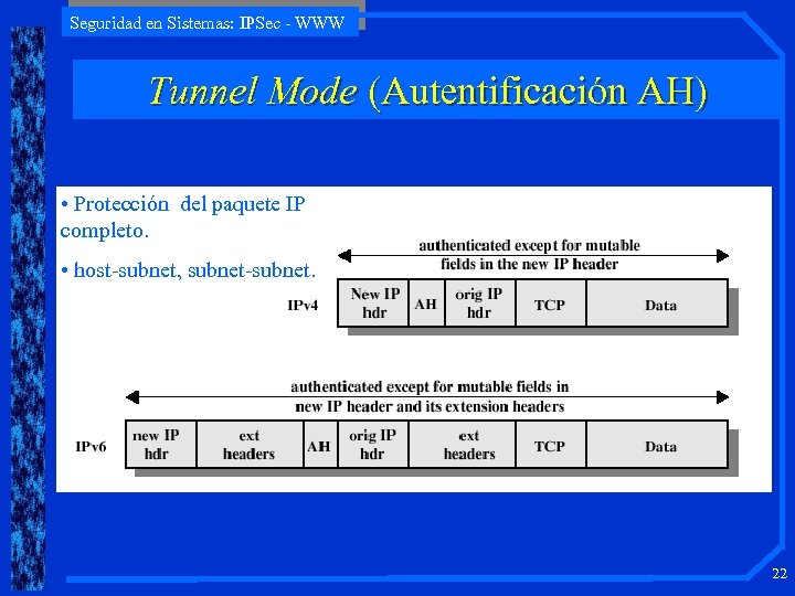 Seguridad en Sistemas: IPSec - WWW Tunnel Mode (Autentificación AH) • Protección del paquete