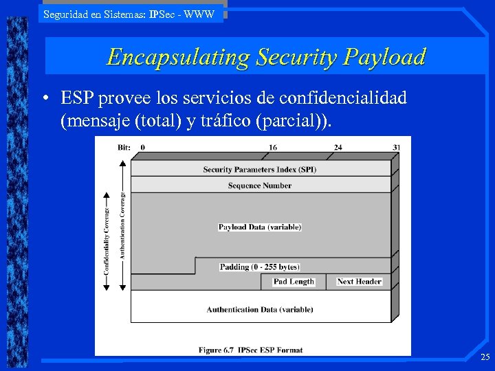 Seguridad en Sistemas: IPSec - WWW Encapsulating Security Payload • ESP provee los servicios