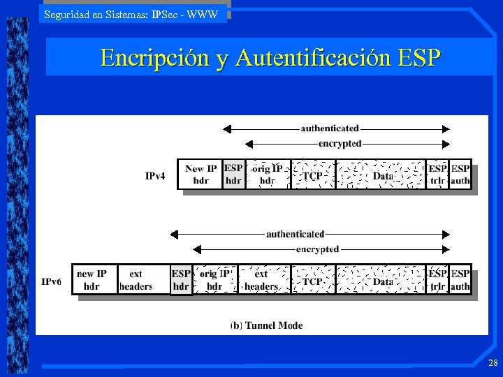 Seguridad en Sistemas: IPSec - WWW Encripción y Autentificación ESP 28 