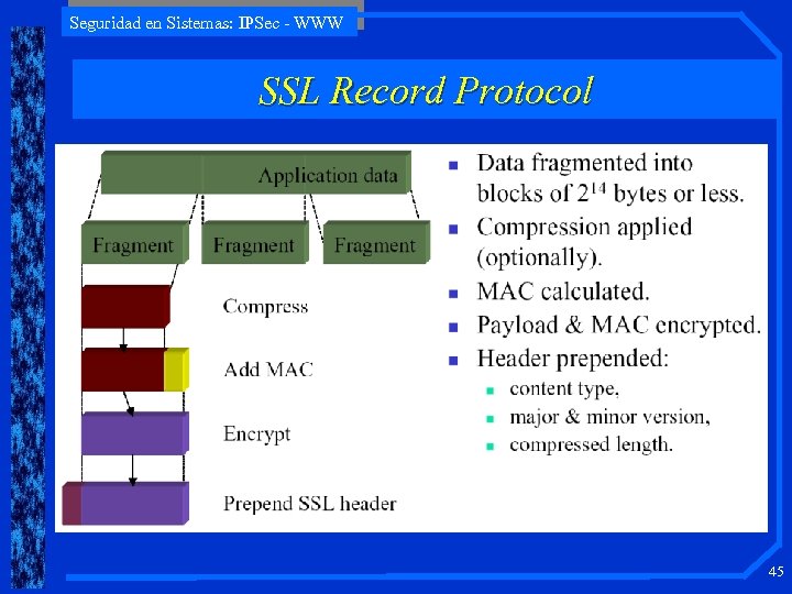 Seguridad en Sistemas: IPSec - WWW SSL Record Protocol 45 