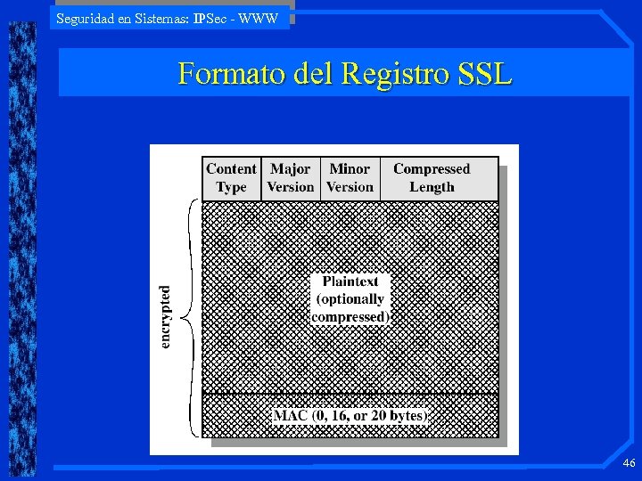 Seguridad en Sistemas: IPSec - WWW Formato del Registro SSL 46 