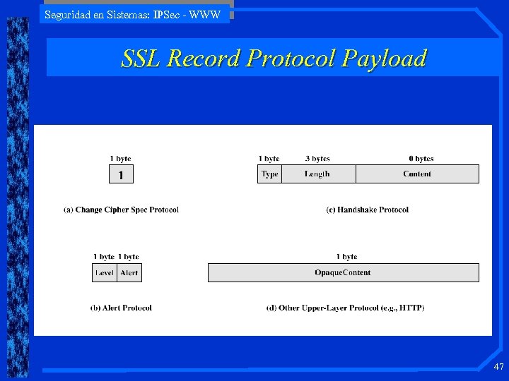 Seguridad en Sistemas: IPSec - WWW SSL Record Protocol Payload 47 