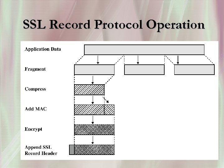 SSL Record Protocol Operation 8 