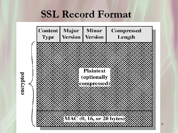 SSL Record Format 9 
