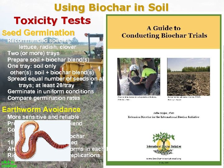 Using Biochar in Soil Toxicity Tests Seed Germination Recommended species: lettuce, radish, clover Two