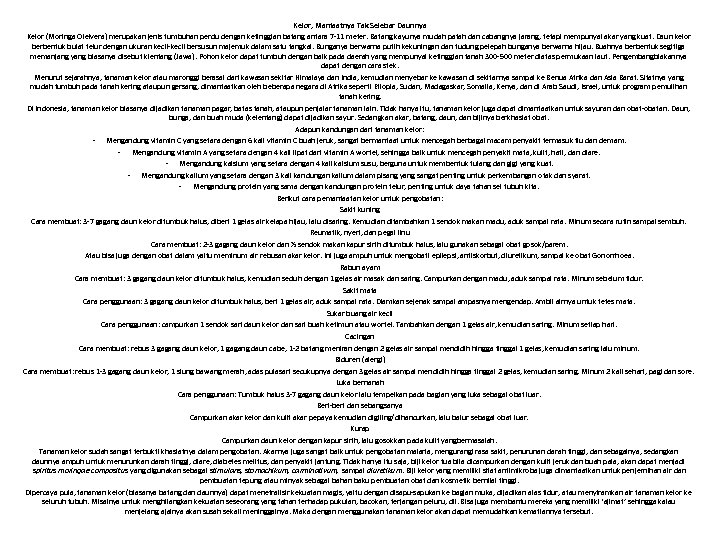 Kelor, Manfaatnya Tak Selebar Daunnya Kelor (Moringa Oleivera) merupakan jenis tumbuhan perdu dengan ketinggian