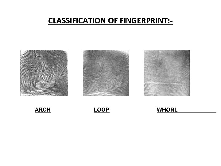 CLASSIFICATION OF FINGERPRINT: - ARCH LOOP WHORL 
